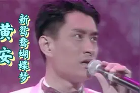 黄安《新鸳鸯蝴蝶梦》| 香港现场 1993视频封面