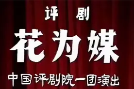 评剧 《花为媒》谷文月 赵丽蓉视频封面