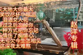 赵洋--天大地大你最大、含笑饮尽杯中眼泪视频封面