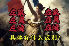 左派右派左翼右翼左倾右倾的区别是什么？一条视频，立即让你明白