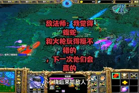 DOTA1敌法师：我觉得蝮蛇和火枪玩得挺不错的，下一次他们会赢的