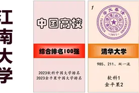 中国大学综合排名100强（软科、金平果均值）视频封面
