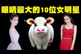 眼睛最大的10位女明星排行榜，第一名女星的眼睛简直和牛一样大！