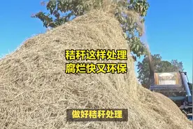 秸秆这样处理，腐烂快又环保视频封面