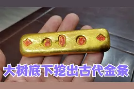 大树底下挖出古代金条！想卖五百万做富翁，小闫鉴宝会是啥结果？