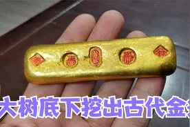 大树底下挖出古代金条！想卖五百万做富翁，小闫鉴宝会是啥结果？视频封面