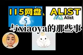 115网盘、alist与小雅的那些事