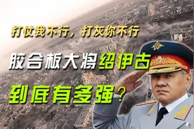打仗我不行，打灰你不行，胶合板大将绍伊古到底有多强？视频封面