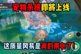 蛋仔派对：宠物系统即将上线，这质量冈易是真的用心了！