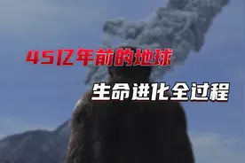 原来45亿前地球是这样形成的，带你看地球生命进化全过程