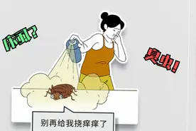 “床虱”这种小虫子有多可怕？视频封面