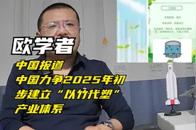 欧学者：中国报道中国力争2025年初步建立“以竹代塑”产业体系视频封面
