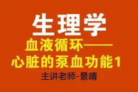 人体生理学，血液循环，心脏的泵血功能1。景晴视频封面