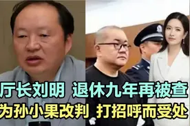 原厅长刘明退休九年再被查，曾为孙小果改判打招呼而受处！视频封面