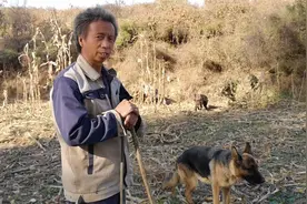 真正的羊肉多少钱一斤？放羊的大哥告诉你真实价格，听完别吃惊