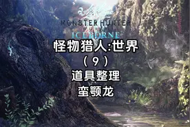 4K《怪物猎人世界+冰原》保姆级全流程攻略-道具整理-蛮颚龙视频封面
