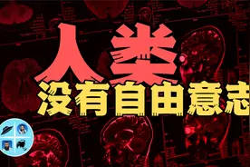 斯坦福教授说人类没有自由意志，你的想法并不是你的想法视频封面