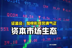 交易所恢复IPO委托！证监会：加快形成风清气正资本市场生态视频封面