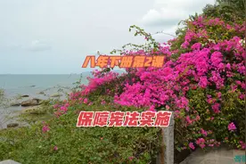 初中道德与法治八年下册第2课知识点.mp4视频封面