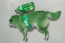 ⚡我 在 5:20 睡 觉 13:14 准 时 起⚡