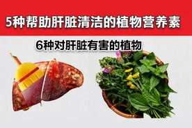 5种支持肝脏清洁的植物营养素，6种有害肝脏的植物视频封面