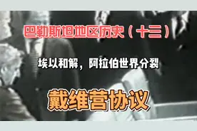 巴勒斯坦地区历史（十三）埃及和以色列和解，戴维营协议的得与失视频封面