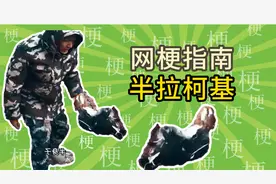 半拉柯基什么梗？【网梗指南】