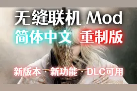 【艾尔登法环dlc】无缝联机mod！重置版，使用教程！！