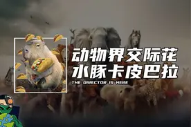 动物界交际花 ，水豚卡皮巴拉视频封面