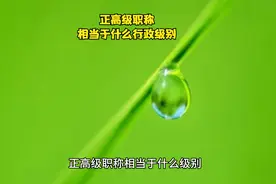 正高级职称相当于什么行政级别视频封面