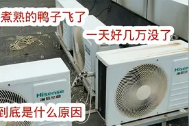 煮熟的鸭子飞了，一天损失好几万，到底是什么原因？视频封面