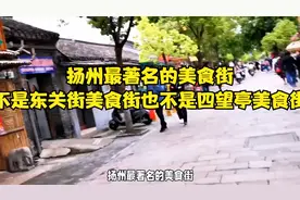 扬州最著名的美食街，不是东关街美食街也不是四望亭美食街视频封面