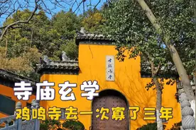 神仙们的已读乱回，鸡鸣寺专注斩桃花，雍和宫走祭献流路线视频封面