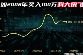 100万本金，当初瞒着家人全仓买入100万科大讯飞，如今变多少钱？视频封面