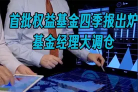 首批权益基金四季报出炉 基金经理大调仓视频封面