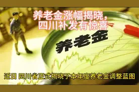 养老金新政，四川补发已到位视频封面
