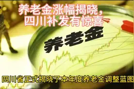 养老金新政，四川补发已到位视频封面