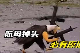 点头yes摇头no，发现石油gogogo视频封面