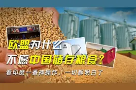 欧盟为什么不愿中国储存粮食？看印度一番神操作，一切都明白了视频封面