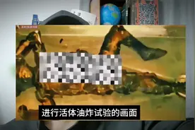 这只是日军惨无人道的暴行之一，将中国小孩扔进沸腾的油锅里！视频封面