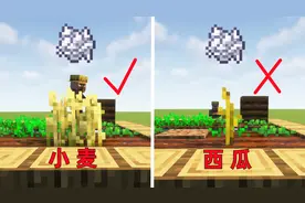 我的世界：金坷垃骨粉可以催熟一切？西瓜：我都没结瓜呢