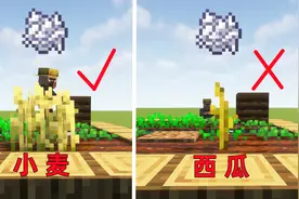 我的世界：金坷垃骨粉可以催熟一切？西瓜：我都没结瓜呢