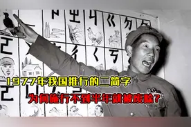 1977年我国推行的二简字，为何不到半年就被废除，背后是何原因？视频封面