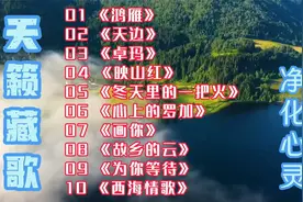 10首非常经典的藏歌，天籁之音，净化心灵，太好听了