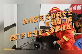 杭州富阳区的何女士听到敲门声，敲门的竟然是一条眼镜蛇！视频封面