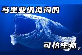 在马里亚纳海沟的最深处，究竟都隐藏着哪些可怕的生物？