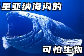 在马里亚纳海沟的最深处，究竟都隐藏着哪些可怕的生物？