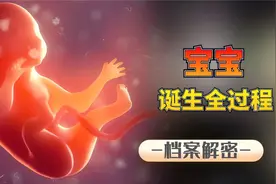 生命孕育的全过程：从蝌蚪到婴儿，看完忍不住心疼妈妈！