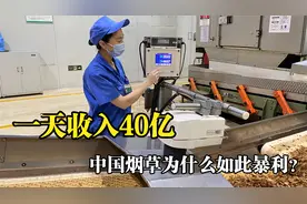 中国烟草有多暴利？日收入40亿，每年缴税就高达1.4万亿视频封面