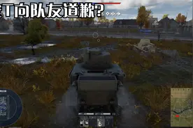按T向队友道歉？